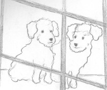 Two puppies in a window