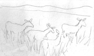 Four leaping whitetails!