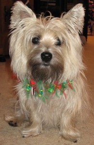 GXmasCollar3 (3) - Copy