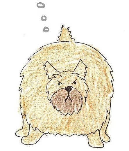 Fat dog thinks angry thoughts.