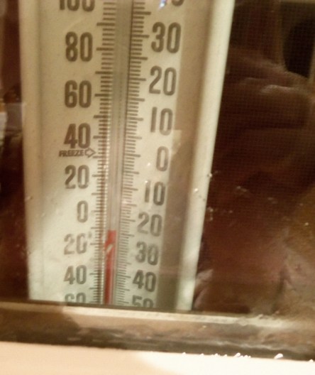 Thermometer readsd zero.