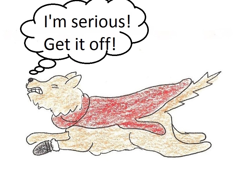 Little dog's coat looks like Superman's cape as it floats behind him.