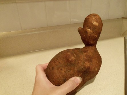 Potato has mitten hand.