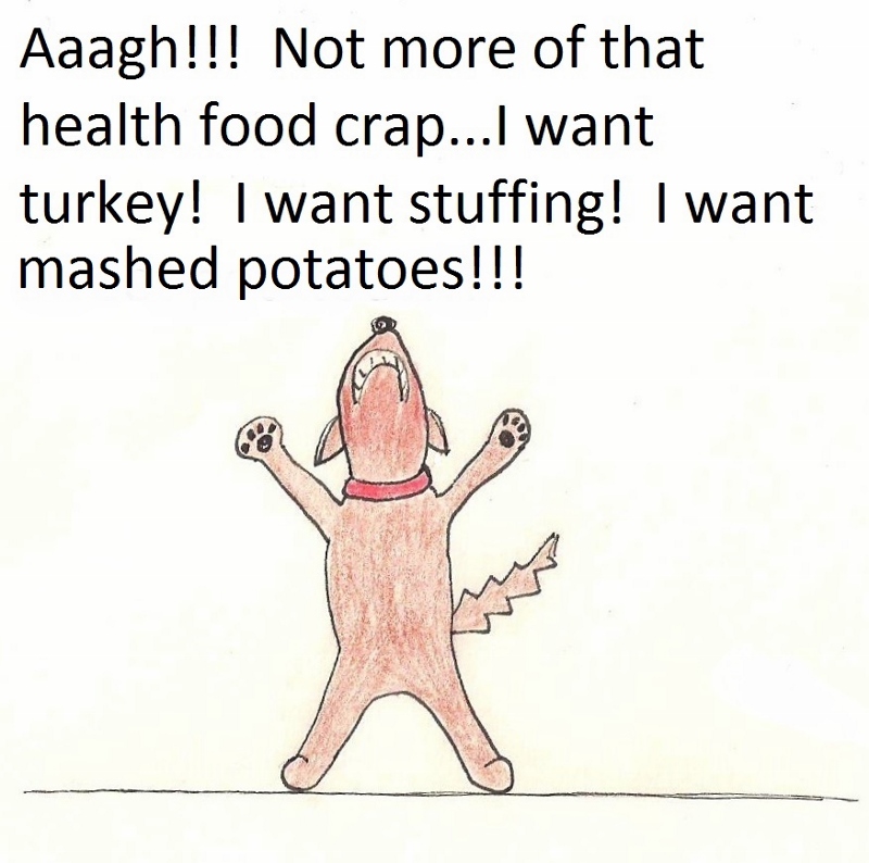 Ach, not more of that health food crap! I want turkey! I want stuffing! I want mashed potatoes!!!