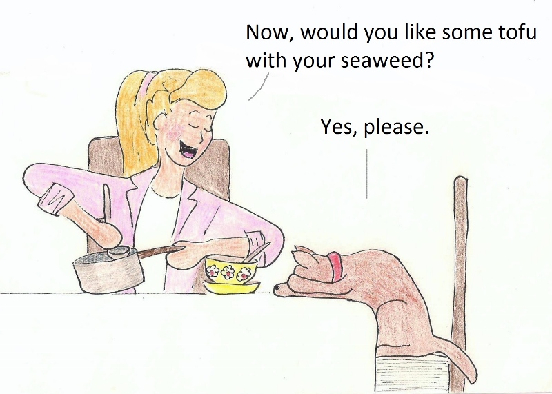 Now, would you like some tofu with your seaweed? Yes please.