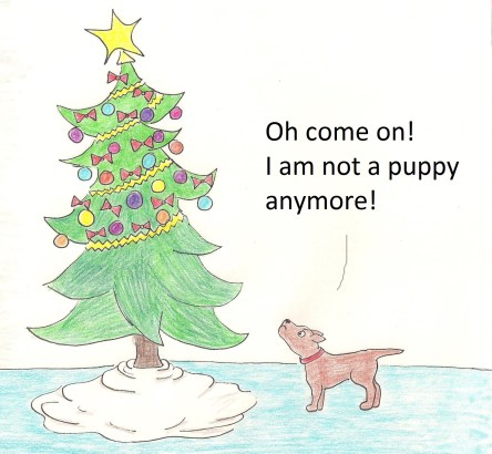 Oh come on! I am not a puppy anymore!