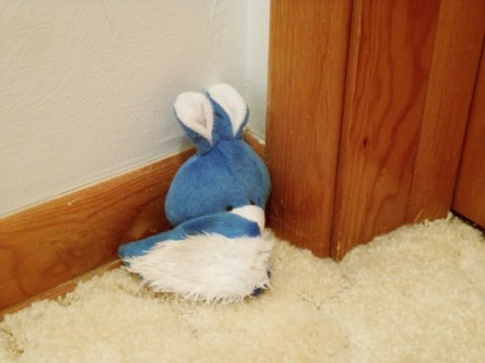 Can you find the bunny hidden in this picture?