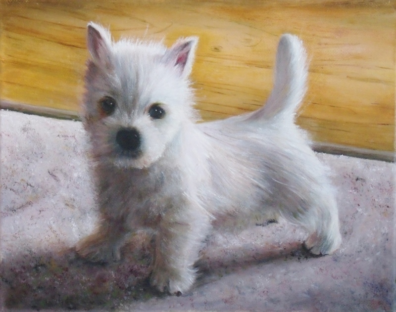 Oil painting of Westie puppy.