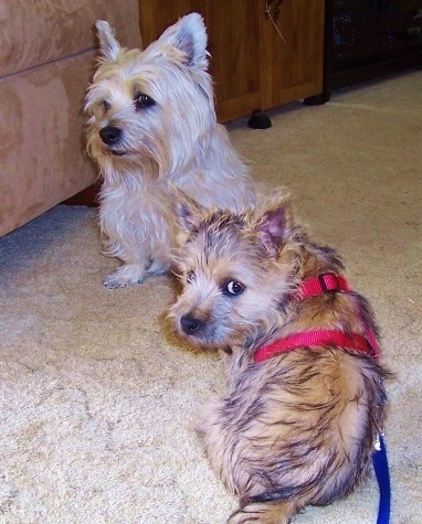 Yes? Can we help you?