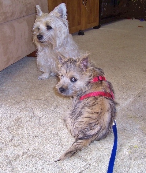 Yes? Can we help you?