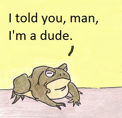 I told you, man, I'm a dude.