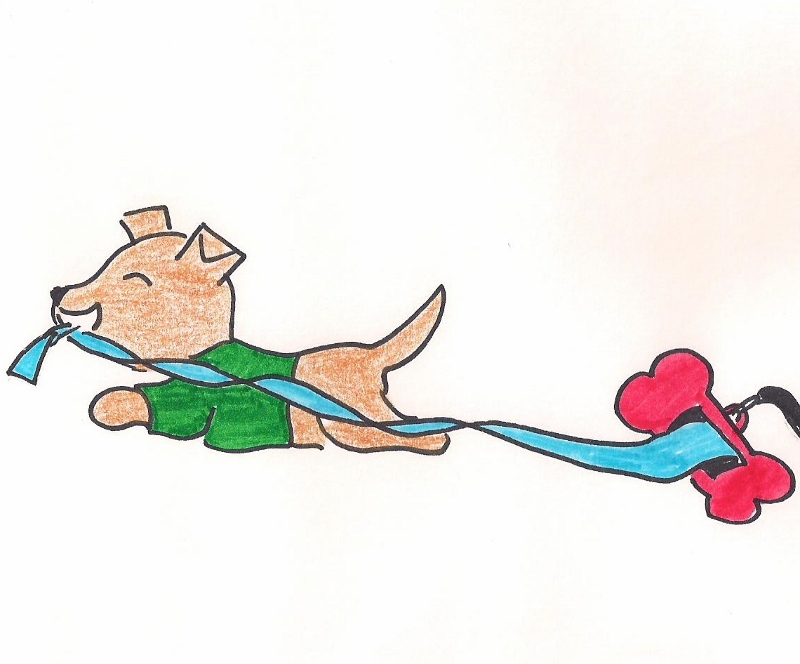 Cairn terrier puppy with green sweater runs while pulling poop bags behind him.