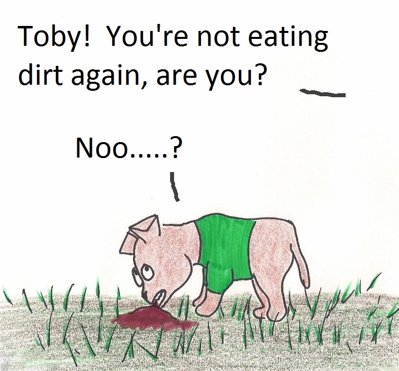 Toby! You're not eating dirt again, are you? Nooo....?