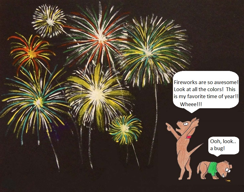 Fireworks are so awesome! Look at all the colors! This is my faovirte time of year!!! Wheee!!! Ooh, look...a bug!