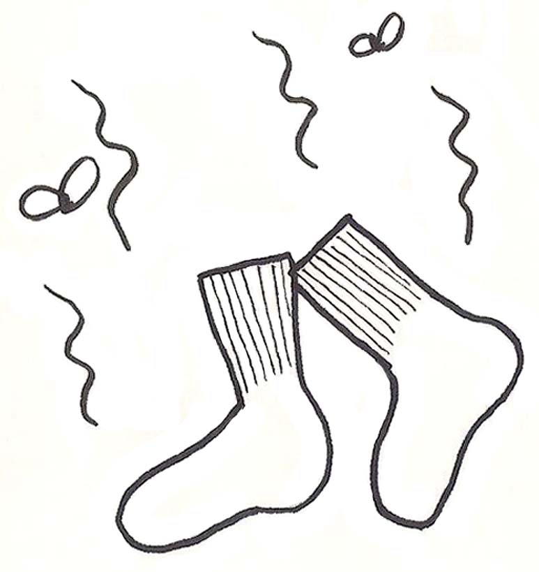 Drawing of stinky socks surrounded by flies.