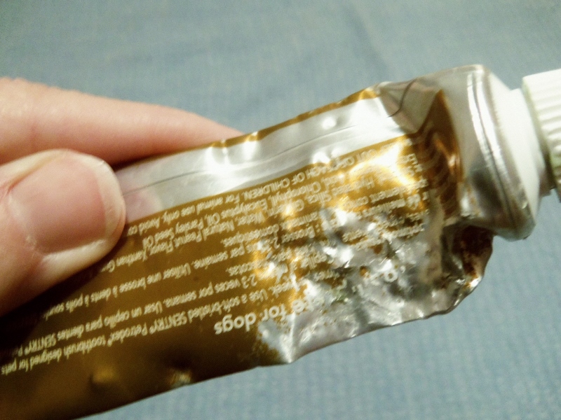 Tube of toothpaste chewed up by naughty puppy.