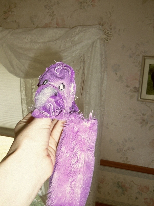 Pfft the Magic Dragon an inside out dragon dog toy that Toby destroyed.