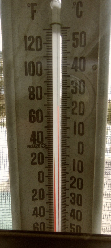 Thermometer showing seventy degree temperatures in early January.