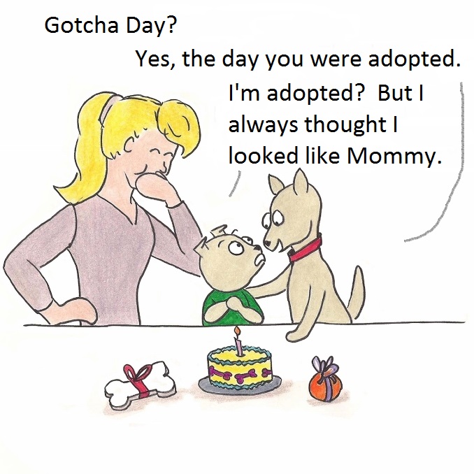 Gotcha Day? Yes, the day you were adopted. I'm adopted? But I always thought I looked like Mommy.