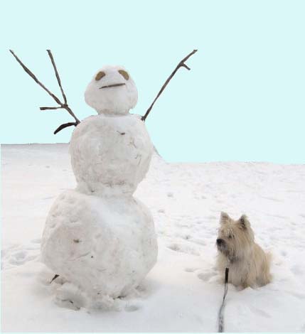 Bitey sitting next to "surrendering" snowman.