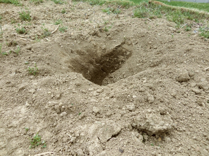 Watch your step. Huge hole in the garden!
