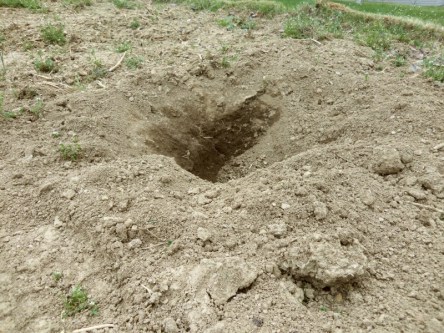 Watch your step. Huge hole in the garden!