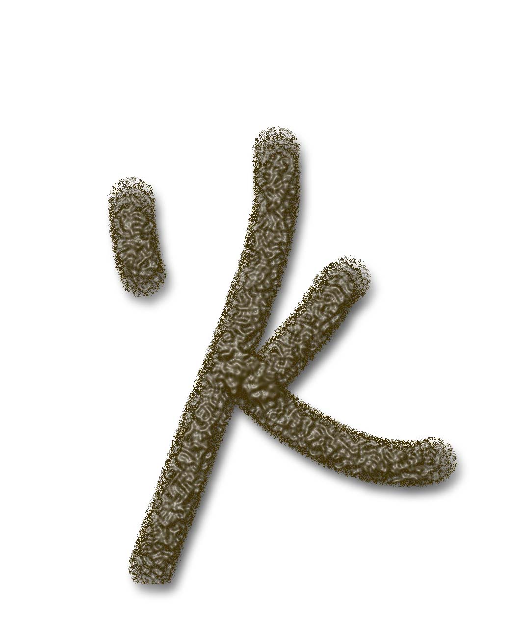 Poo shaped like the Chinese character for "fire"