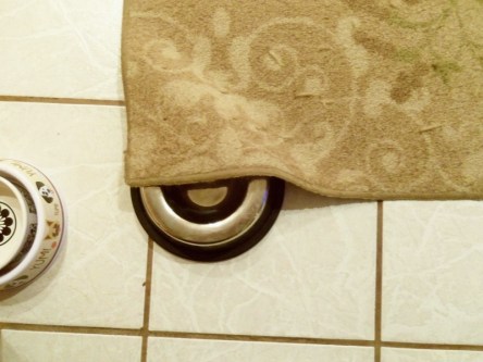 Dog dish half hidden under carpet