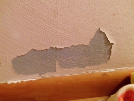 Paint peeling from a wall
