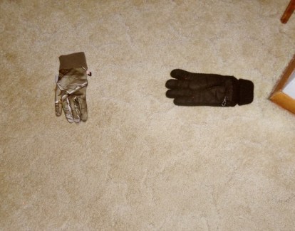 Two gloves lying on the floor