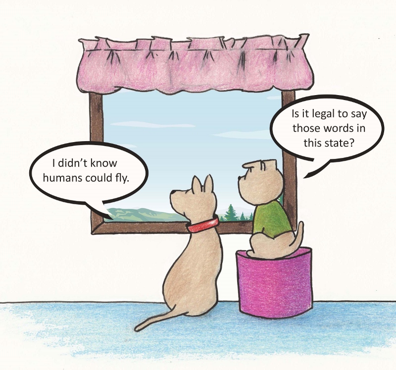 I didn't know humans could fly. Is it legal to say those words in this state?