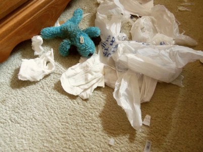 Blue Puppy lies amid the trash can carnage.