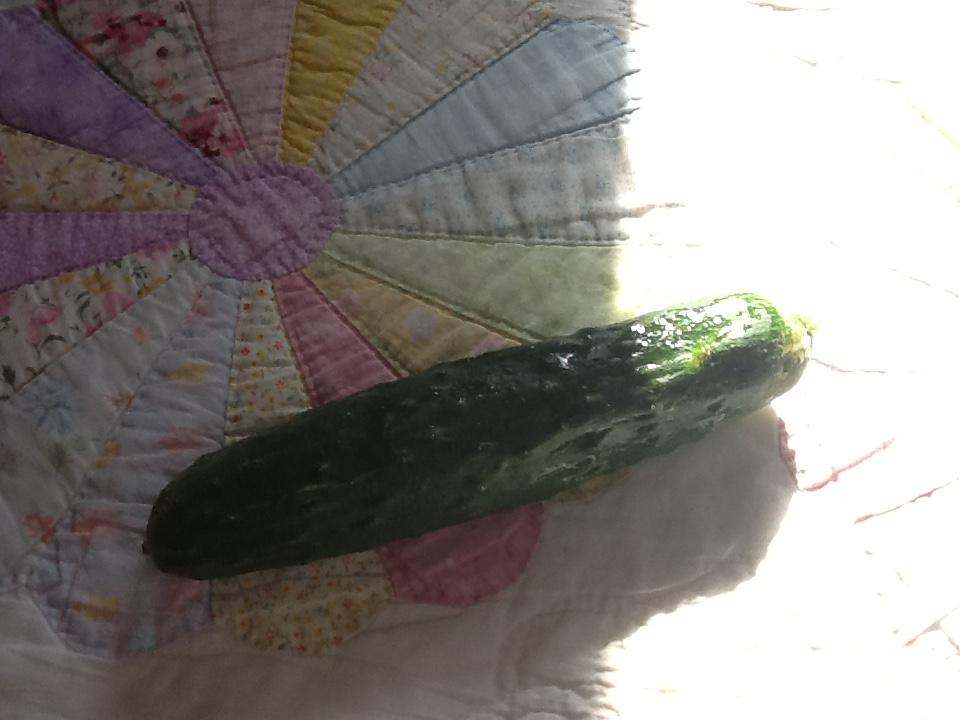 Photo of first fruit from the garden this year.