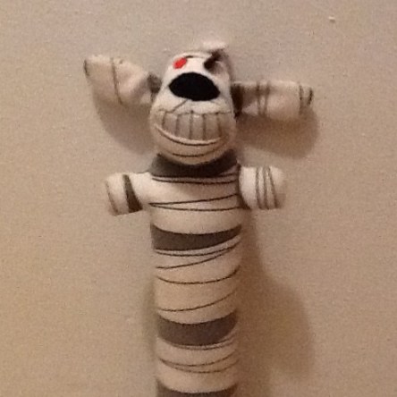 Mumy Loofah dog poses for mug shot.