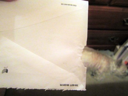 Sleeping Cairn terrier and an obviously chewed envelope.