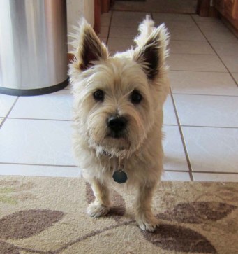 Don't worry, Mom. I'll help.