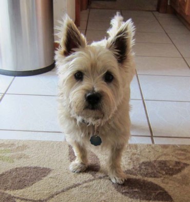 Don't worry, Mom. I'll help.