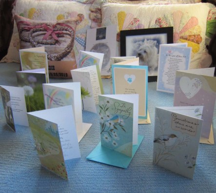 Gifts and greeting cards sent in memory of Bitey Dog Geordie