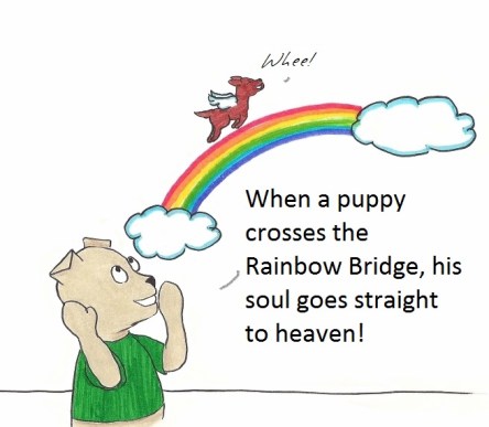 When a puppy crosses the Rainbor Bridge, his soul goes straight to heaven!
