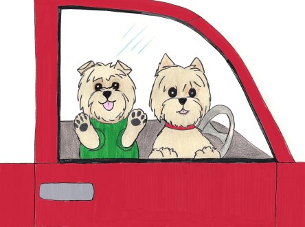 Two dogs look out of car door.