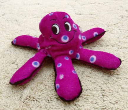 Stuffed squid with six arms. Sextopus.