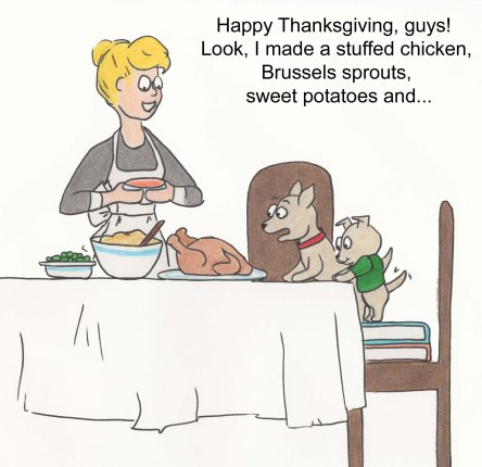 Happy Thanksgiving, guys! Look, I made stuffed chicken, Brussels sprouts, sweet potatoes and...