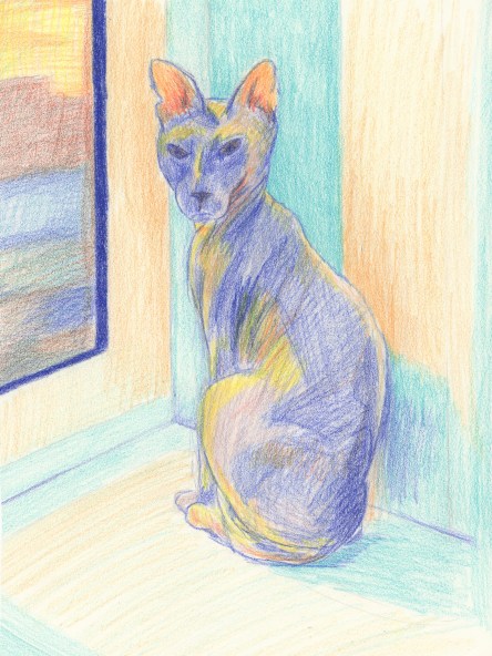 Pencil sketch of hairless cat.