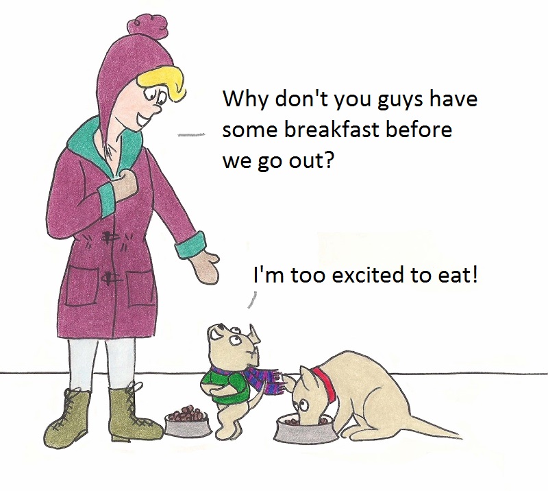 Why don't you guys have some breakfast before we go out? Puppy: No, I'm too excited to eat.