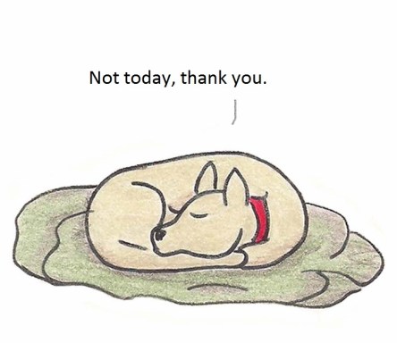 Not today, thank you/