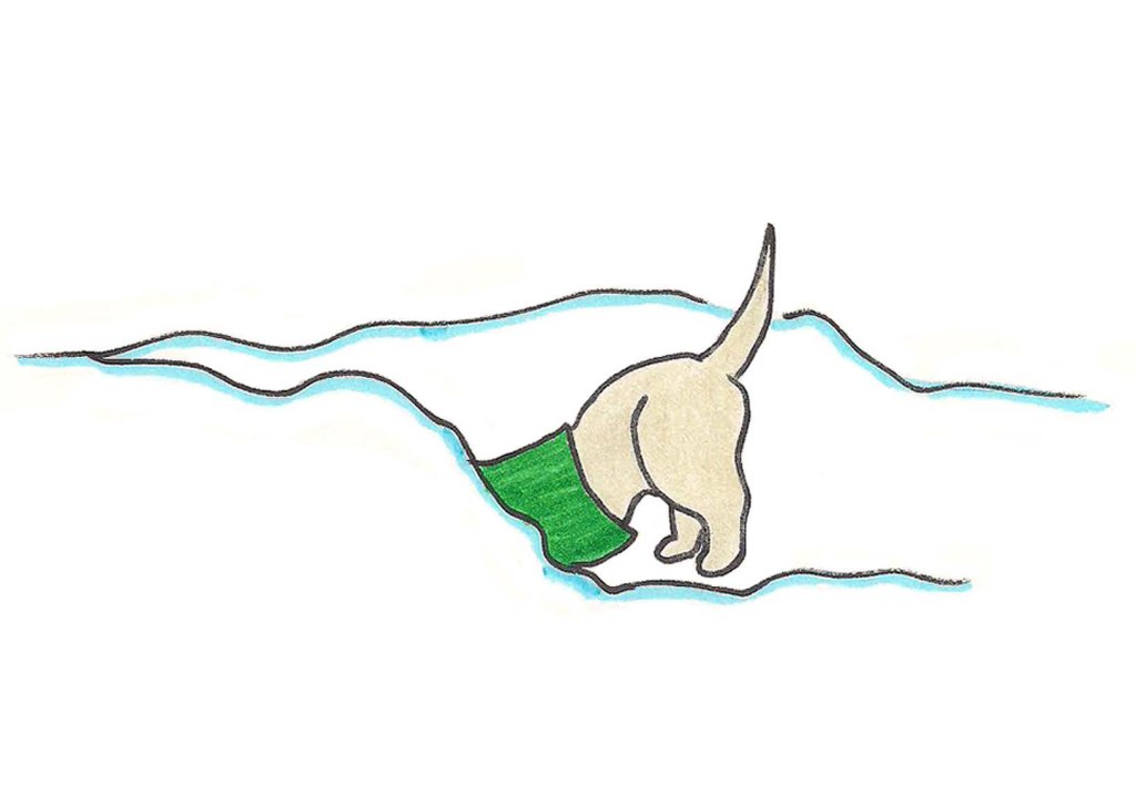 Puppy digs in fresh snow.