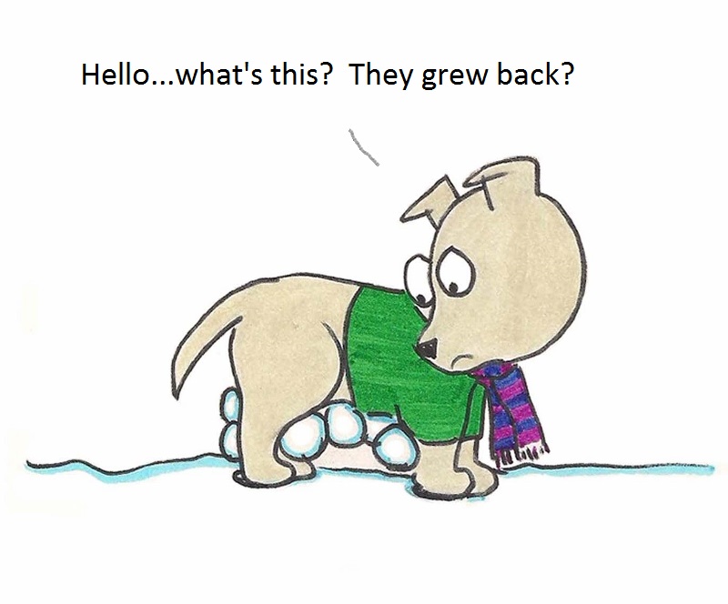 Hello...what's this? They grew back?