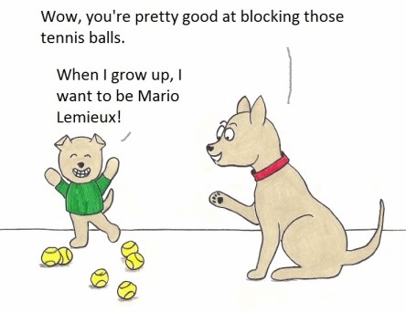 Wow, you're pretty good at blocking thos tennis balls. When I grow up, I want to bMario Lemieux!