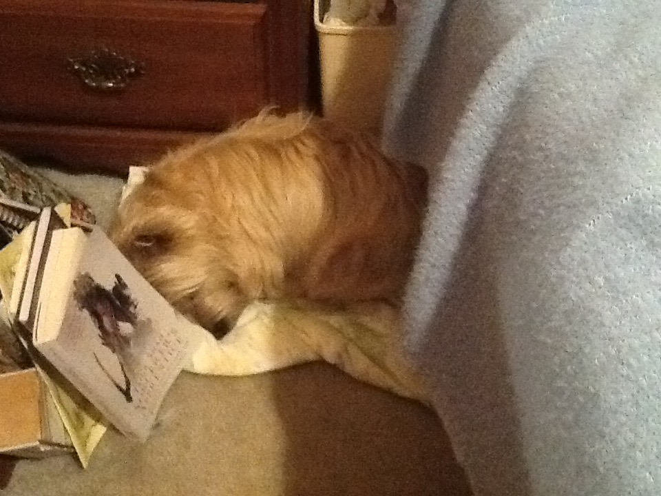 Go away. I'm sleeping.