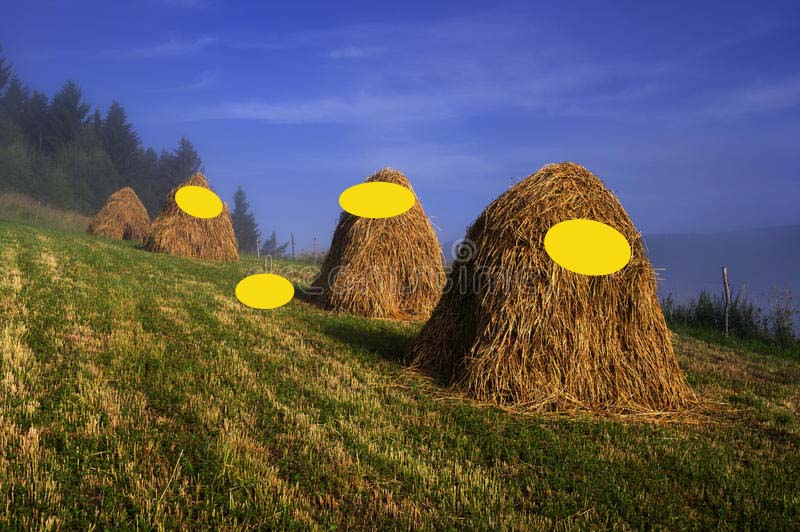 Hayricks with yellow circles.